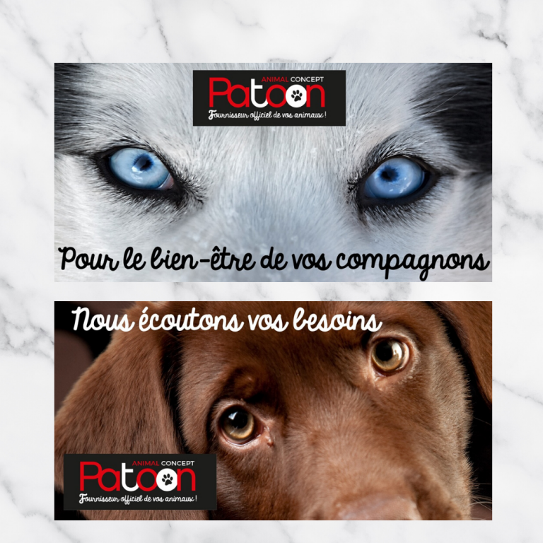 visuels panneaux patoon-2