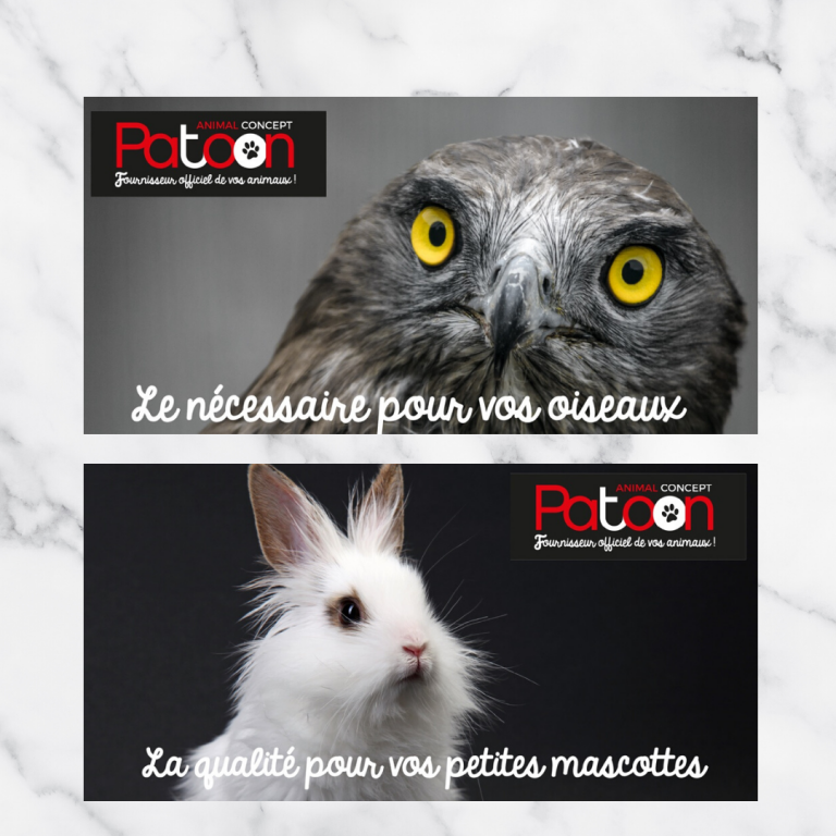 visuels panneaux patoon-4